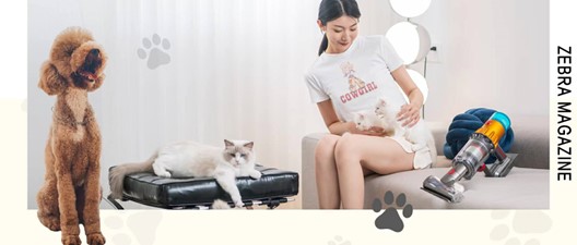 为了成为都市人的「最佳养宠搭子」,戴森太卷了!