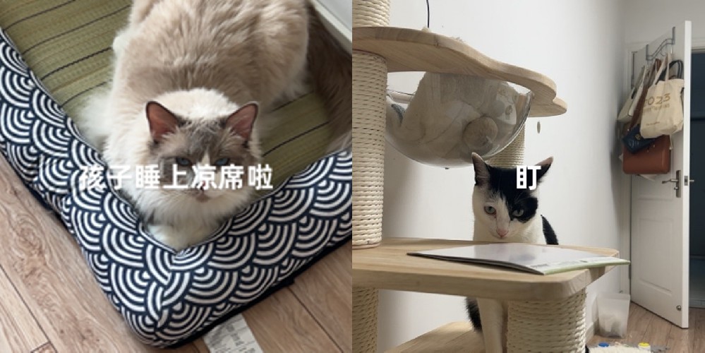 一毛不扫,何以扫整屋?